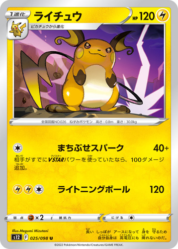 raichu s12